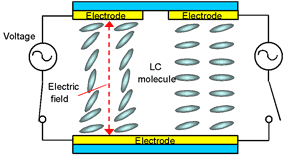 a simple graphic demonstrating a simplified liquid crystal molecule