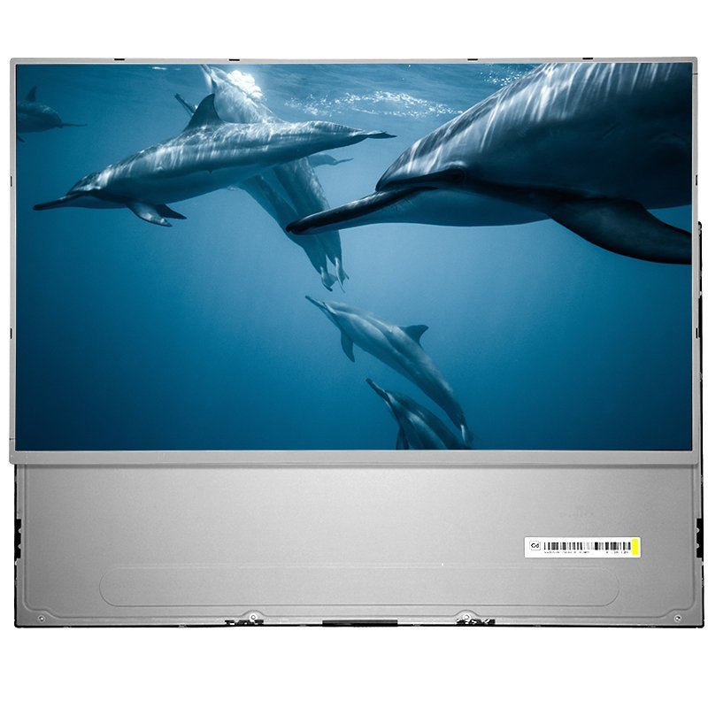 LCD display module showing an underwater dolphin scene LCD display module showing an underwater dolphin scene