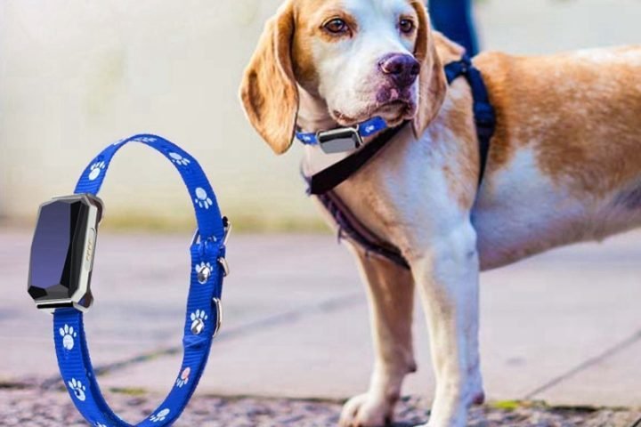 Pet collar tracker and tracking device